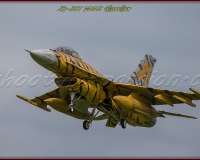 1GLOVELIER 0886